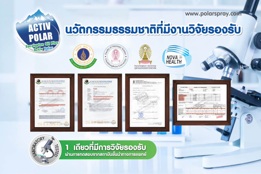 สเปรย์ปรับอากาศโพลาร์ สเปรย์ กลิ่นยูคาลิปตัส ขนาด 280 มล. 